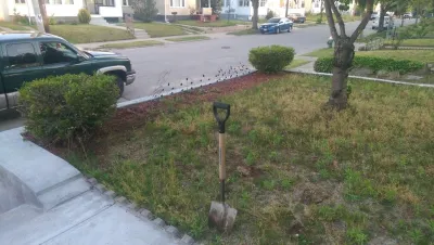 Esperanza Landscaping Co. - Landscape Design in Providence, RI