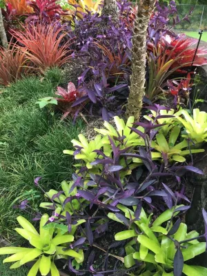 Stephen Haus ASLA - Landscape Design in Honolulu, HI