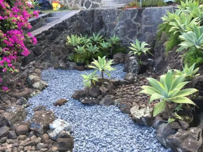 Stephen Haus ASLA - Landscape Design in Honolulu, HI