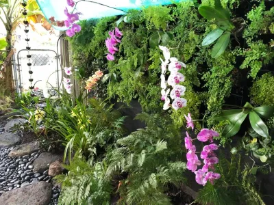 Orchid & Fern Living Wall — Landscape Design project by Stephen Haus ASLA in Honolulu