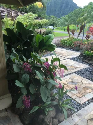 Hawaii Landscape — Landscape Design project by Stephen Haus ASLA in Honolulu