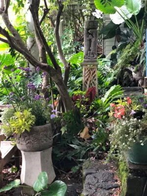 Stephen Haus ASLA - Landscape Design in Honolulu, HI