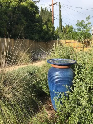 Eve's Garden Design - Garden Remodeling in Chico, CA