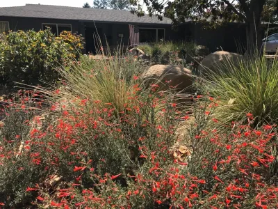 Eve's Garden Design - Garden Remodeling in Chico, CA