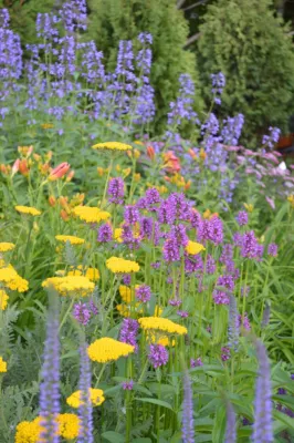 Evernest Designs - Landscape Design in Jamaica, VT