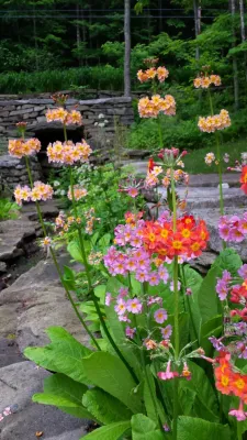 Evernest Designs - Landscape Design in Jamaica, VT