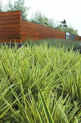 Studio Green - Landscape Design in San Anselmo, CA