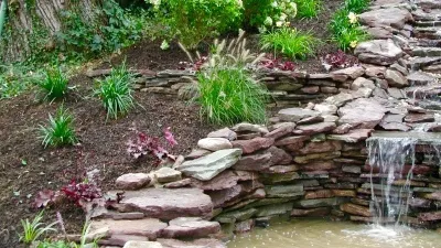 Everything Green Designs - Landscape Maintenance in Northport, NY