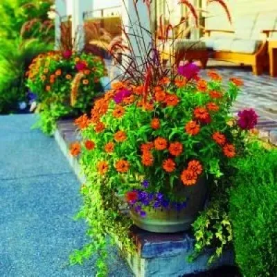 Sutter Design Group - Landscape Design in Golden, CO