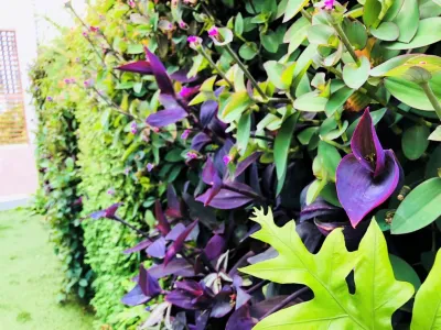 Symbiotik Walls - Landscape Design in Miami, FL