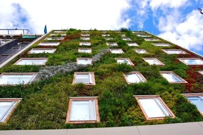 Symbiotik Walls - Landscape Design in Miami, FL