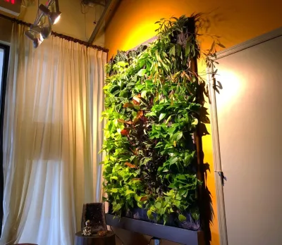 Ayama Yoga Center-North Miami — Landscape Design project by Symbiotik Walls