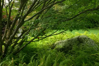 Terrain Planning & Design LLC - Landscape Design in Bedford, NH