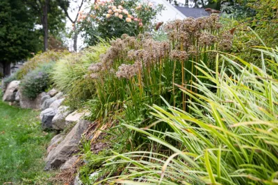 a Blade of Grass - Outdoor Lighting Installation in Sudbury, MA