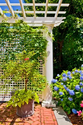 Sean Papich Landscape Architecture - Landscape Design in Hingham, MA