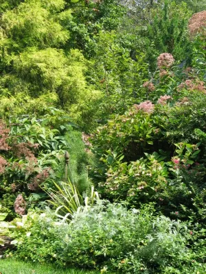 Tranquil Takoma Garden - Private Residence — Landscape Design project by The Landscape Group - TLG Design