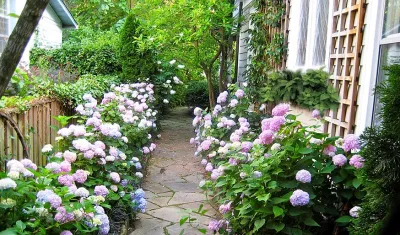 Ellicott House — Landscape Design project by Thomas Tait Gardens in Washington