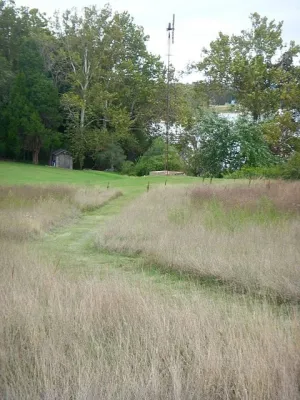 Thomas Tait Gardens - Landscape Design in 
