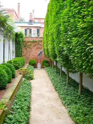 Georgetown Residence — Landscape Design project by Thomas Tait Gardens in Washington