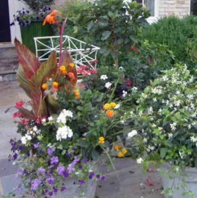 Thorne Rankin & Associates - Landscape Design in Washington, 