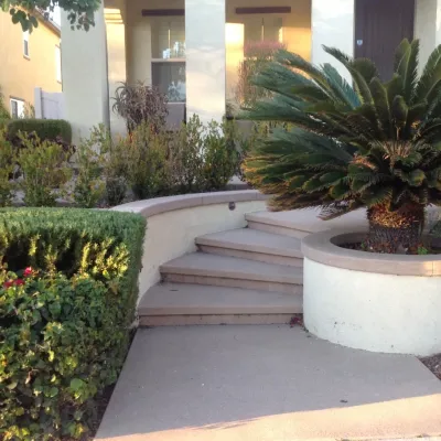 Sago Tree & Concrete Steps — Landscape Design project by Exterior Designs Landscape in San Diego