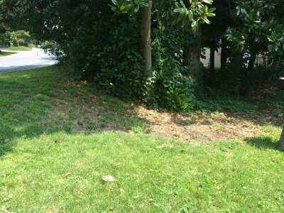 Tiger Lily Landscapes, LLC - Landscape Design in 