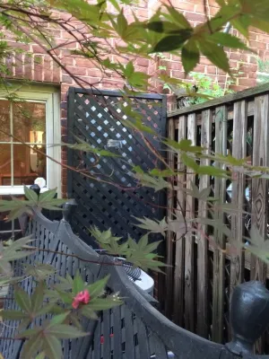 Georgetown Small Backyard Courtyard — Landscape Design project by Tiger Lily Landscapes, LLC in Washington