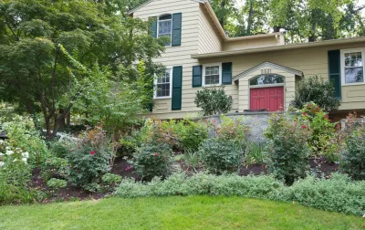 A Hillside Project in Arlington — Landscape Design project by Tiger Lily Landscapes, LLC in Arlington