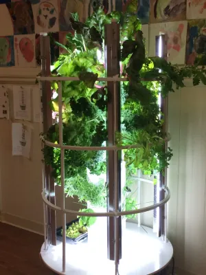 Tower Garden Los Angeles - Landscape Design in Los Angeles, CA