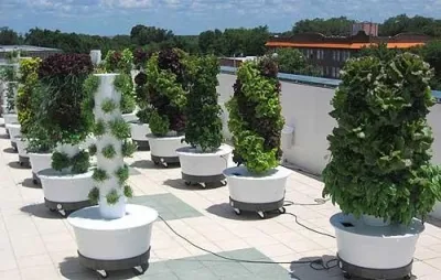 Tower Garden Los Angeles - Landscape Design in Los Angeles, CA