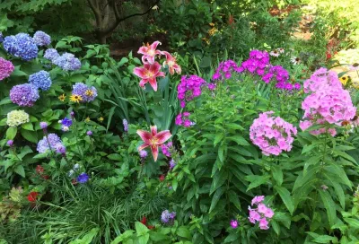 Ty Tan Designs, LLC - Landscape Design in Norwalk, CT