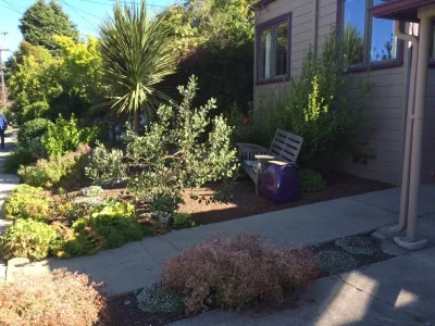 Second Nature Design - Landscape Design in Berkeley, CA