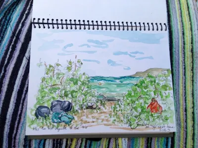 Second Nature Design - Landscape Design in Berkeley, CA