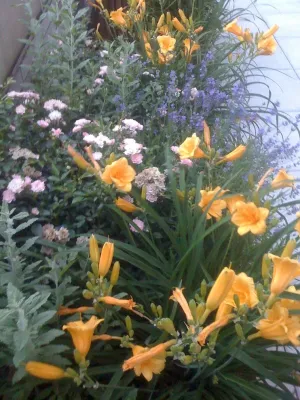 Serenity Gardens Design - Landscape Design in Saugerties, NY