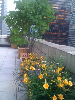 Serenity Gardens Design - Landscape Design in Saugerties, NY