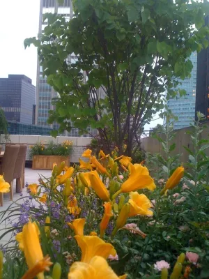 Serenity Gardens Design - Landscape Design in Saugerties, NY
