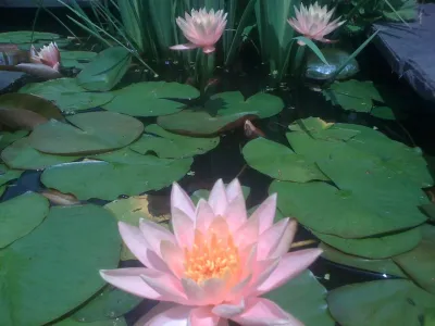 Serenity Gardens Design - Landscape Design in Saugerties, NY