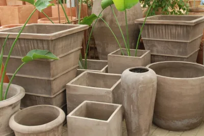 Eye of the Day - Garden Remodeling in Carpinteria, CA