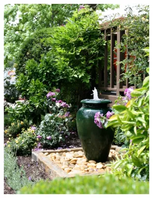 Eye of the Day - Garden Remodeling in Carpinteria, CA