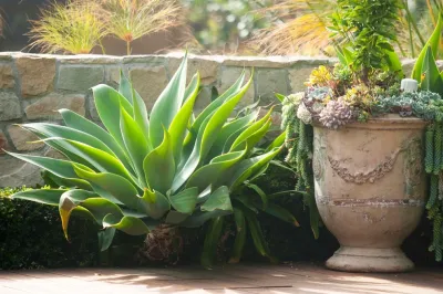 Malibu Getaway by Wendy Harper by Eye Of The Day