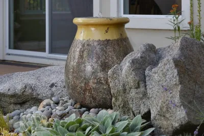 Eye of the Day - Garden Remodeling in Carpinteria, CA