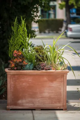 Sonos Headquarters Santa Barbara — Landscape Design project by Eye Of The Day in Santa Barbara