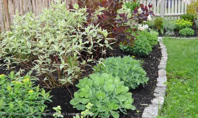Shelly Tallack Landscape Design - Landscape Design in South Portland, ME
