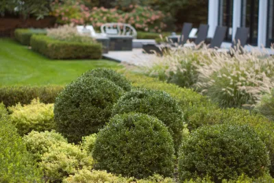 a Blade of Grass - Outdoor Lighting Installation in Sudbury, MA