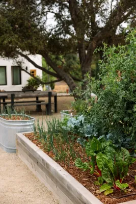 Falling Waters Landscape - Outdoor Lighting Installation in Solana Beach, CA
