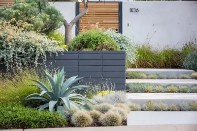 Falling Waters Landscape - Outdoor Lighting Installation in Solana Beach, CA