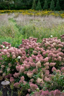 Marshview — Landscape Design project by Woodburn & Company Landscape Architecture, LLC
