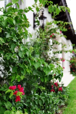 Favio Perez Design - Landscape Design in Miami, FL