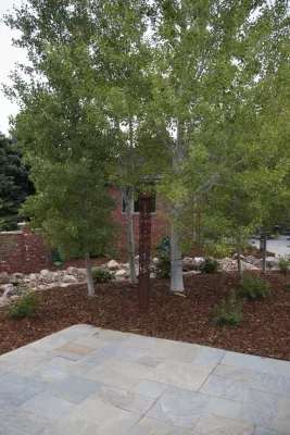 Zack Fergus - Landscape Design in Omaha, NE