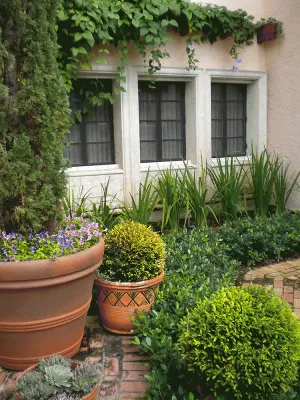 Mediterranean Elegance — Landscape Design project by Fernando Wong Outdoor Living Design